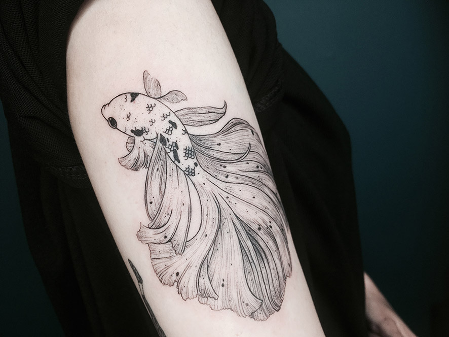 tat-A-1 5