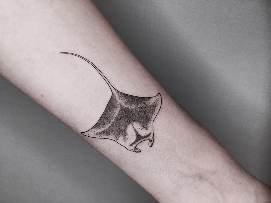 tat-A-1 2