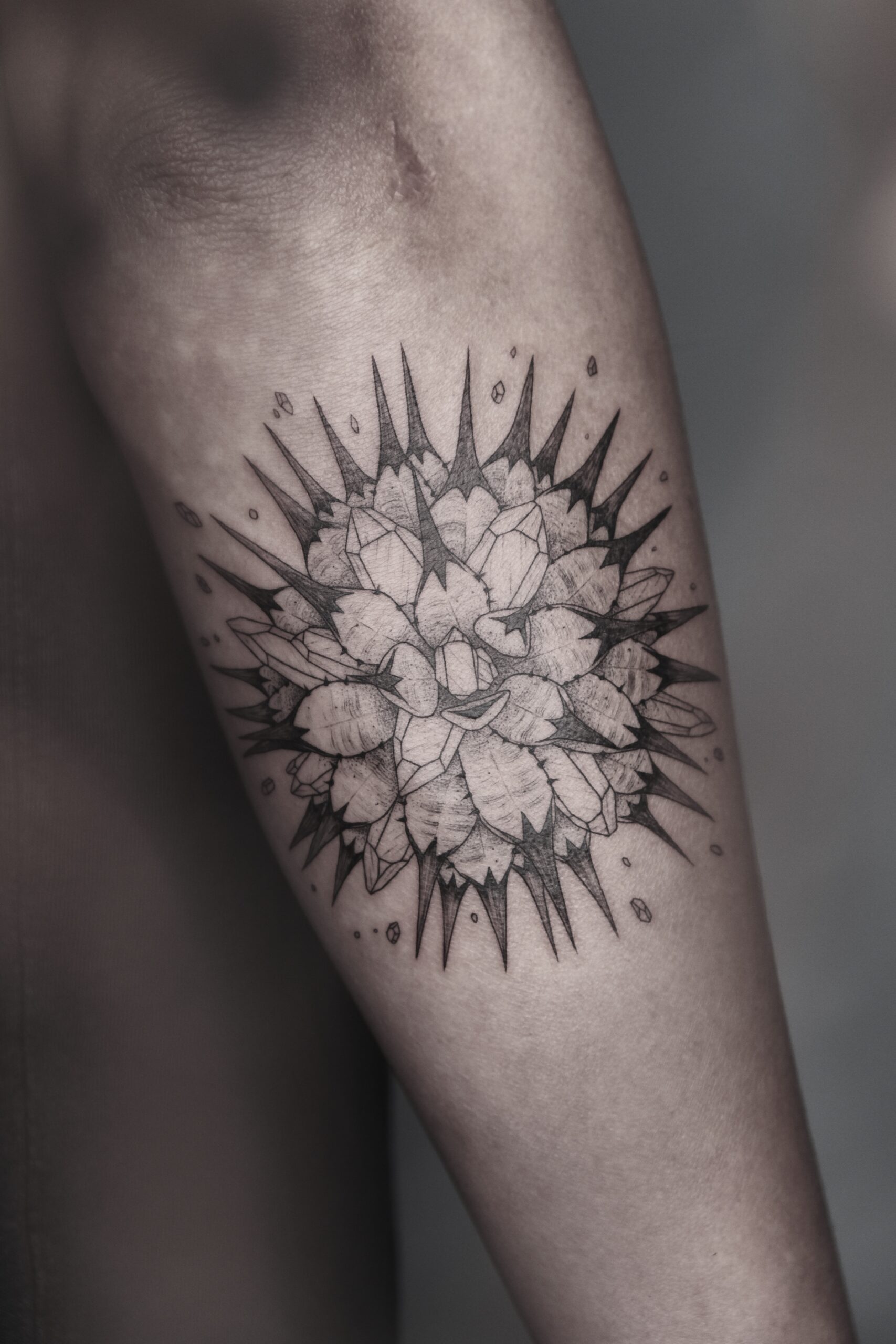 tat-P-5