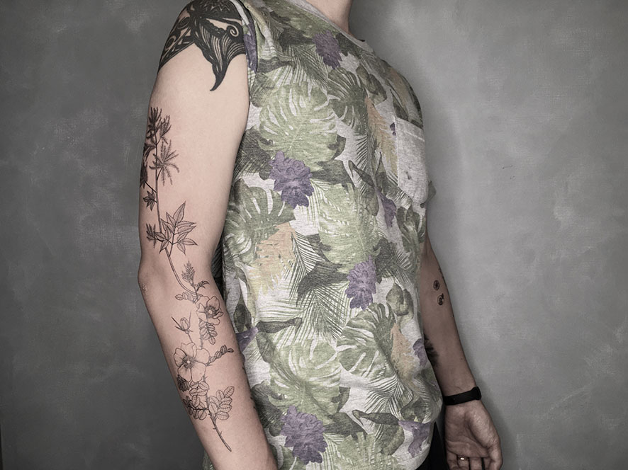tat-P-3