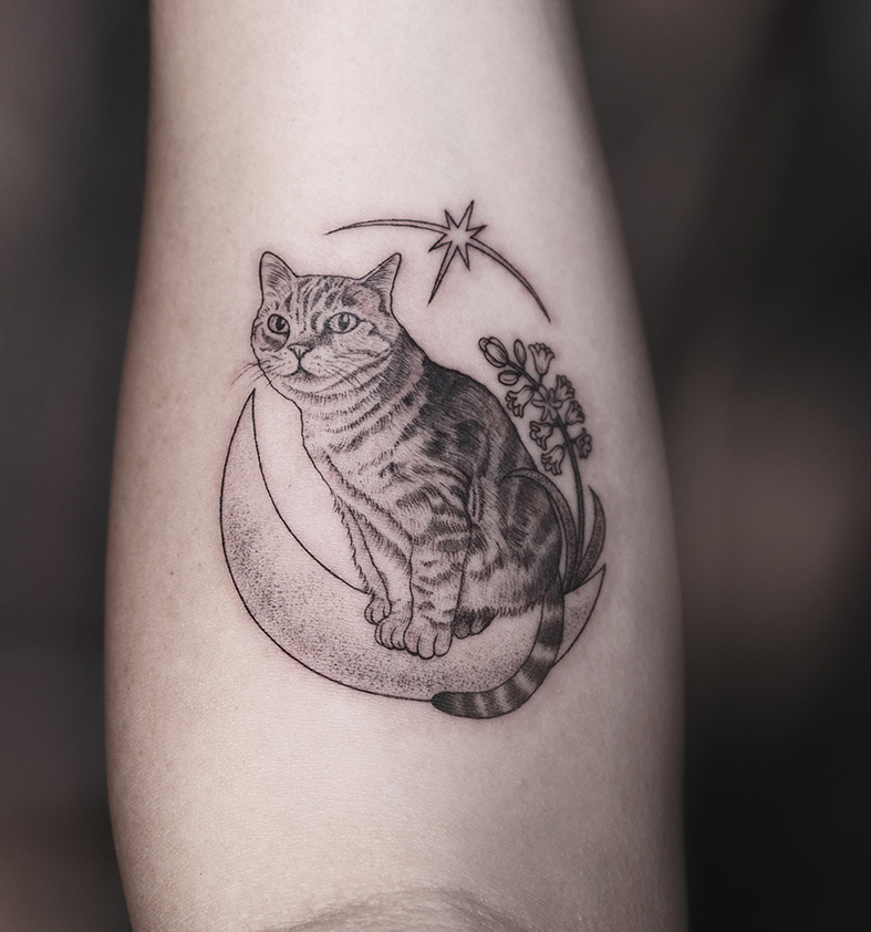 一隻坐在月亮上的貓